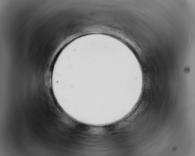 X0000103331509200810171412