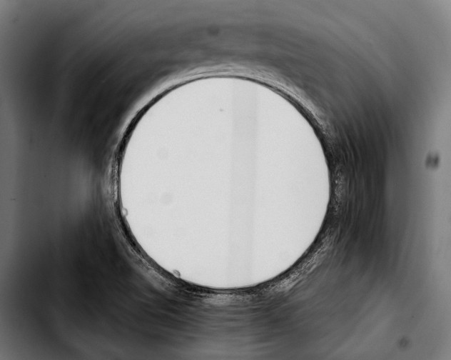 X0000103331510200810171412