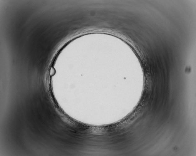 X0000103331511200810171412