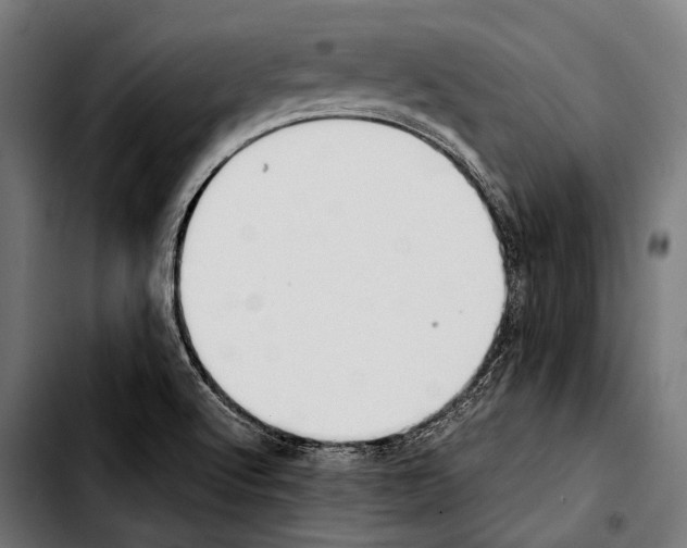 X0000103331512200810171412