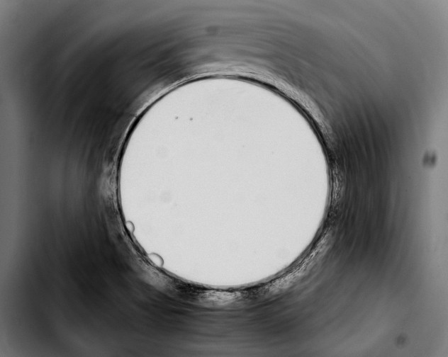 X0000103331513200810171412