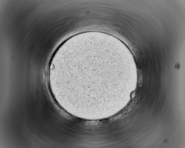 X0000103331515200810171412