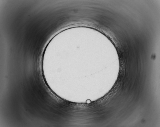 X0000103331516200810171412