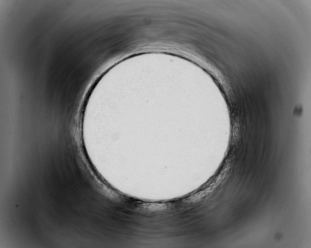 X0000103331517200810171412