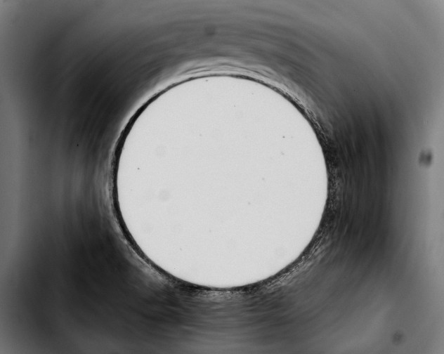 X0000103331518200810171412