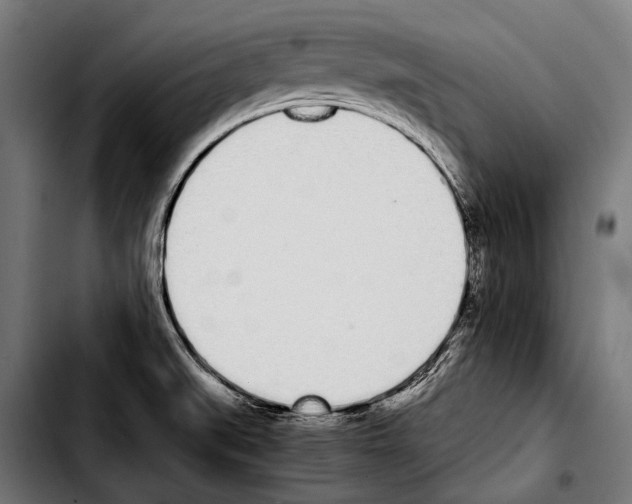 X0000103331519200810171412