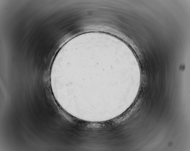 X0000103331521200810171412