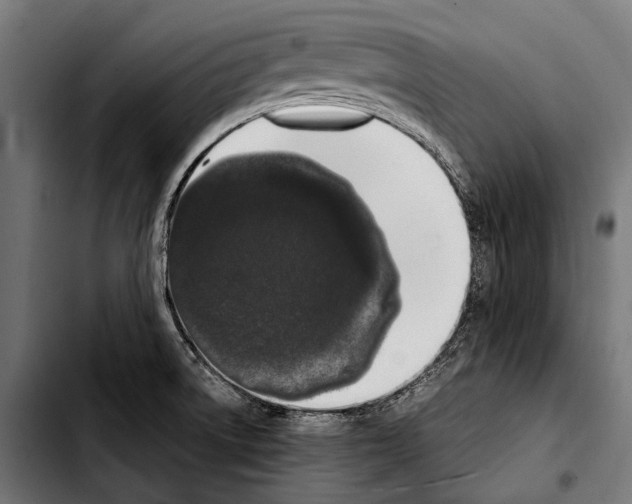 X0000103331522200810171412