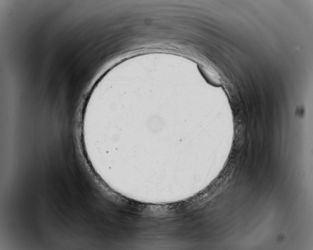 X0000103331523200810171412