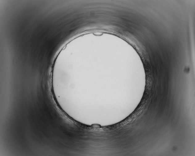 X0000103331524200810171412