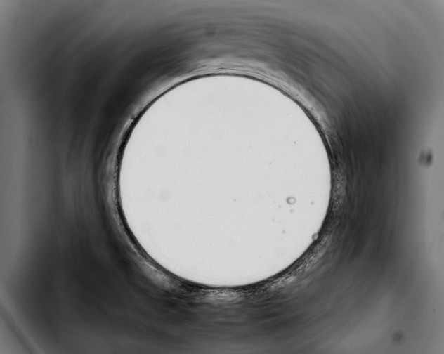 X0000103331525200810171412