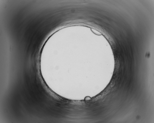 X0000103331526200810171412