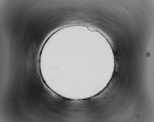 X0000103331527200810171412