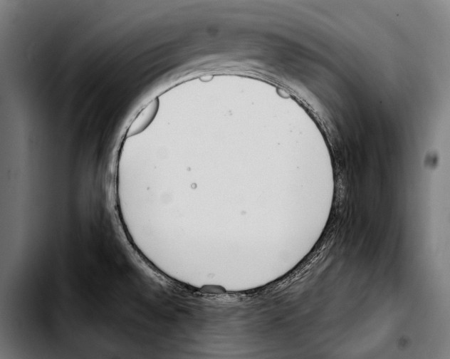 X0000103331528200810171412