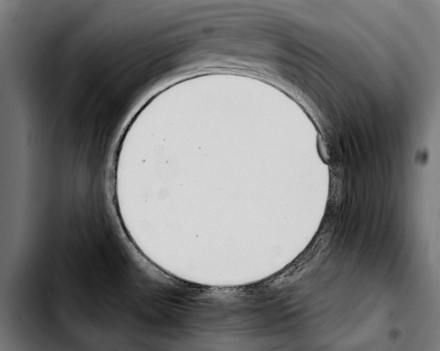 X0000103331531200810171412