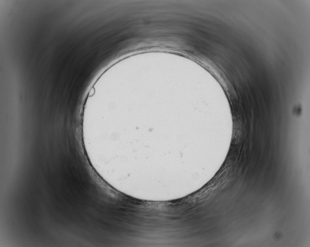 X0000103331532200810171412