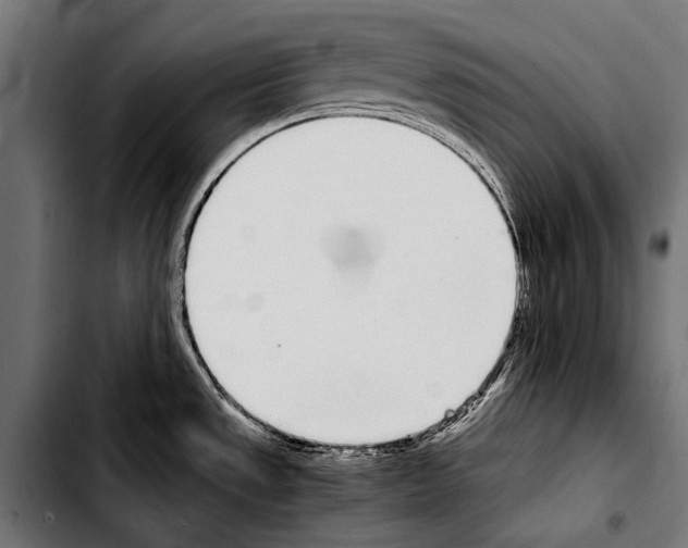 X0000103331533200810171413