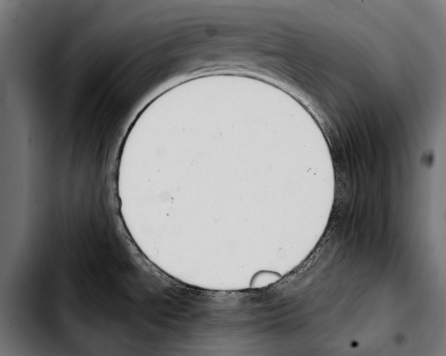 X0000103331534200810171413