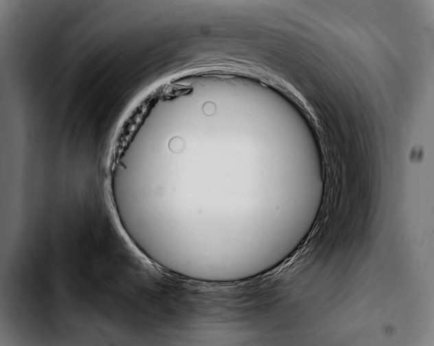 X0000103331536200810171413