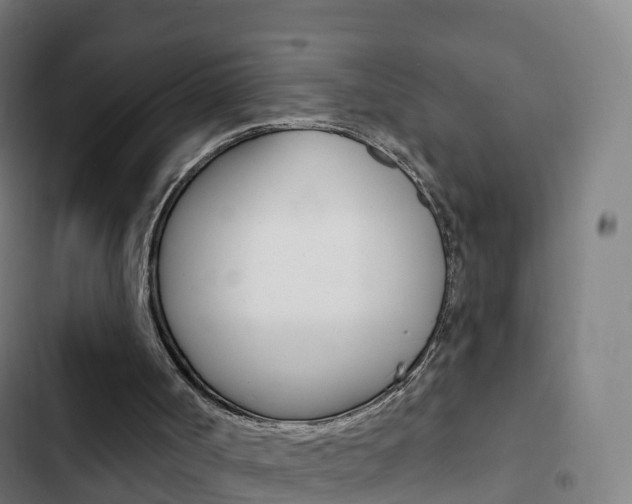 X0000103400002200809120935