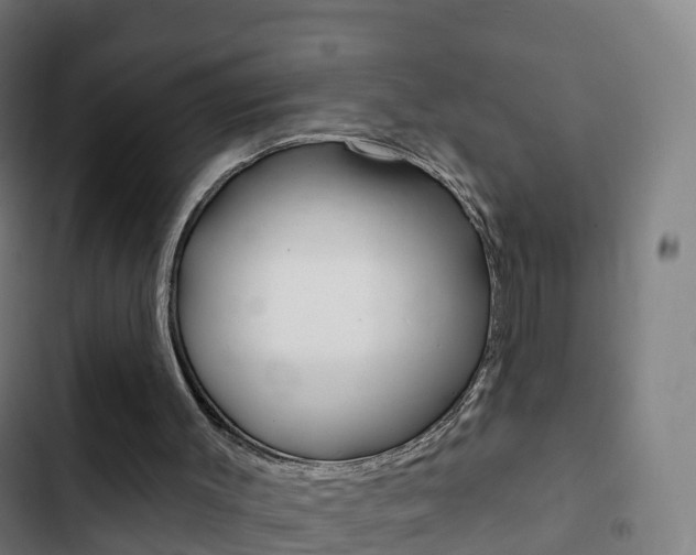 X0000103400003200809120935