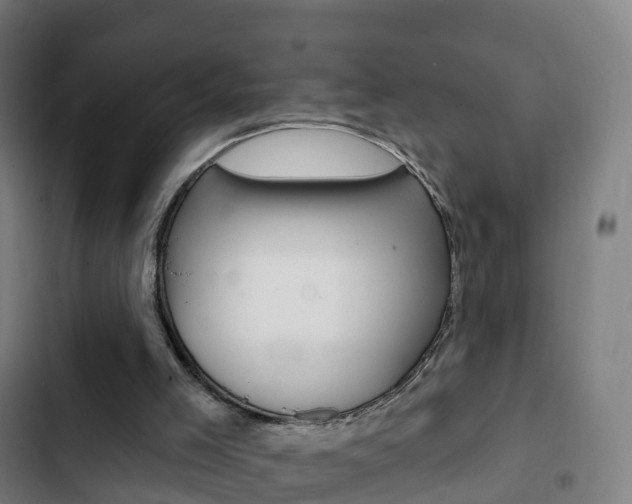 X0000103400005200809120935
