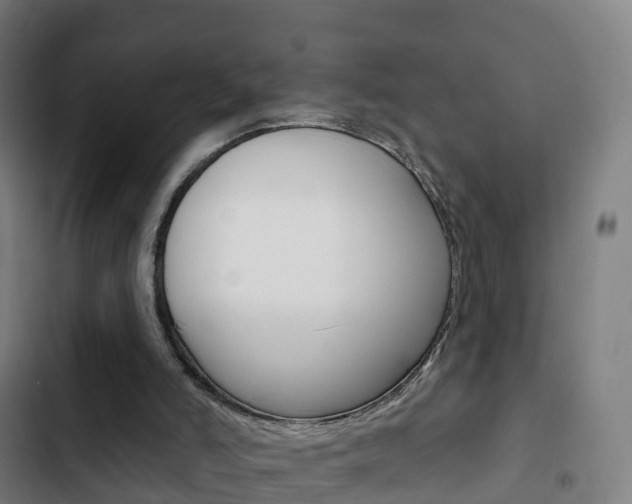 X0000103400006200809120935