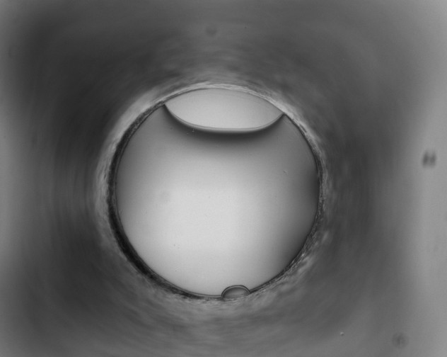 X0000103400007200809120935