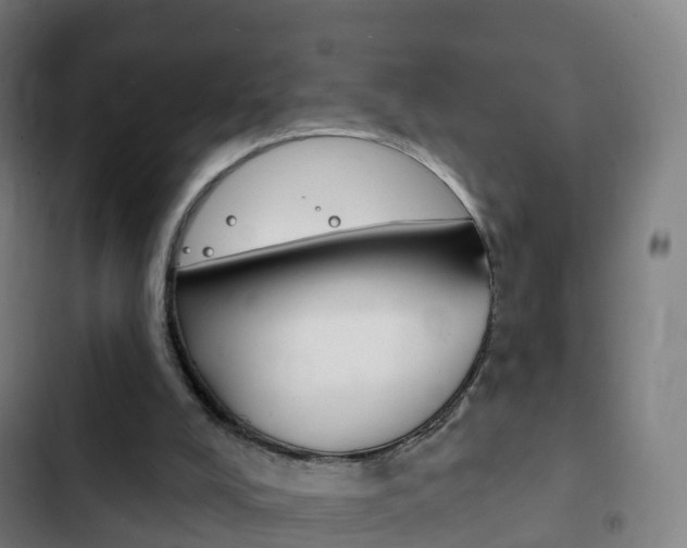 X0000103400008200809120935