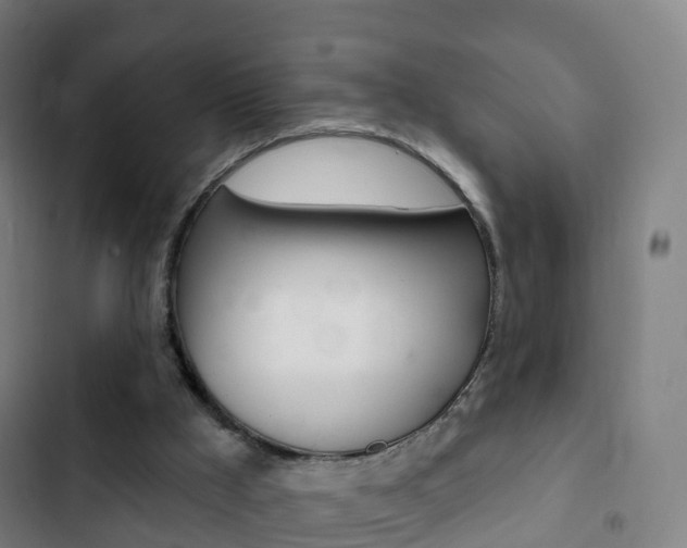 X0000103400009200809120935