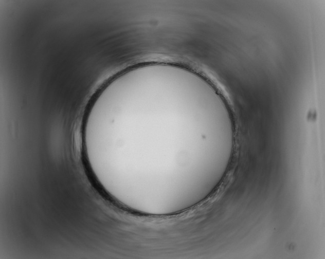 X0000103400011200809120935