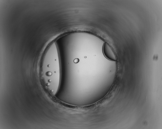 X0000103400012200809120935