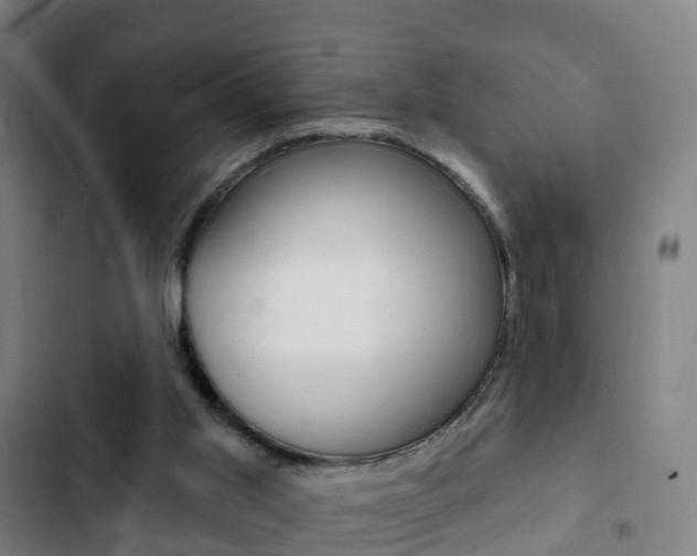 X0000103400013200809120935
