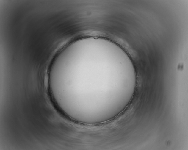 X0000103400014200809120935