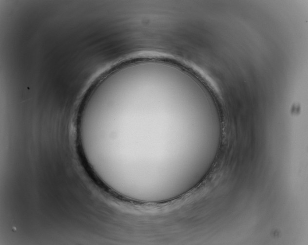 X0000103400015200809120935