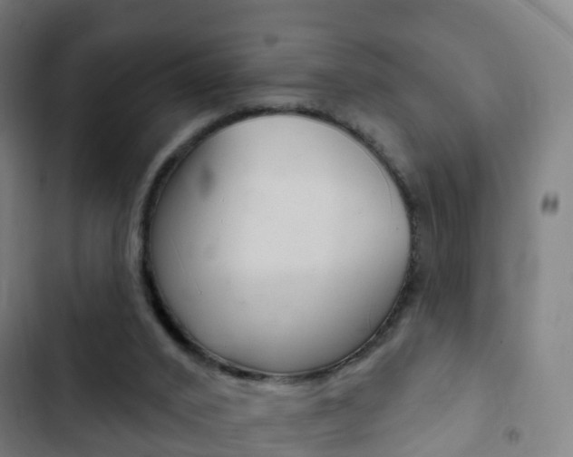 X0000103400016200809120935