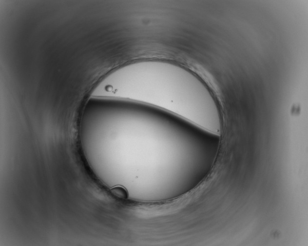 X0000103400017200809120935
