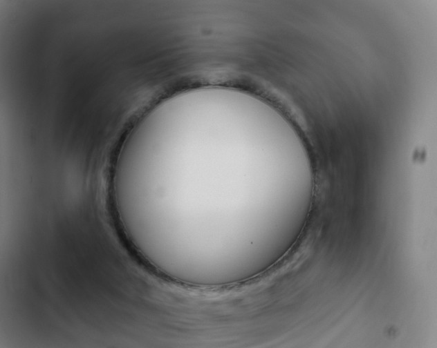 X0000103400018200809120935