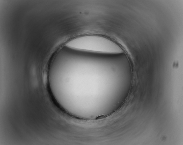 X0000103400019200809120935