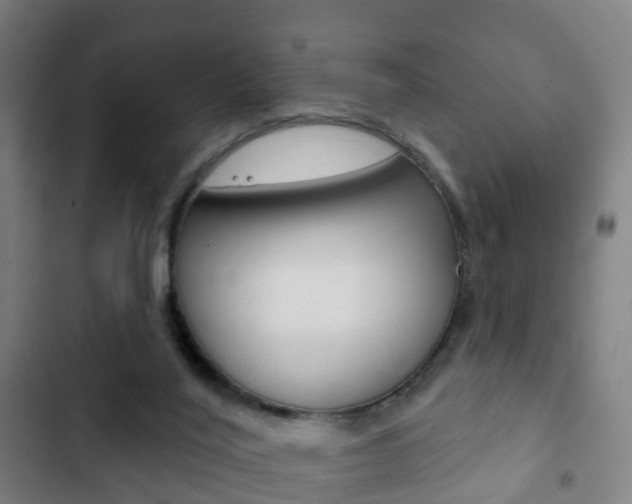 X0000103400020200809120935