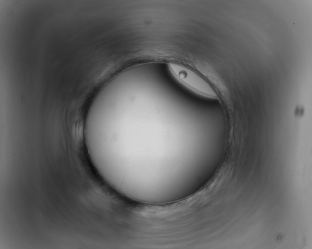 X0000103400021200809120935