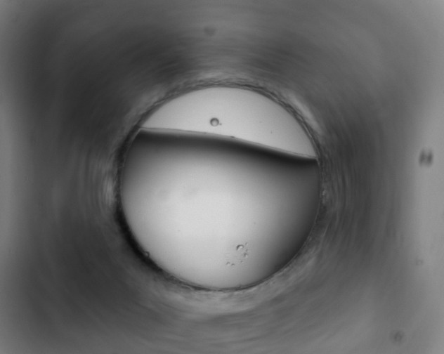 X0000103400023200809120935