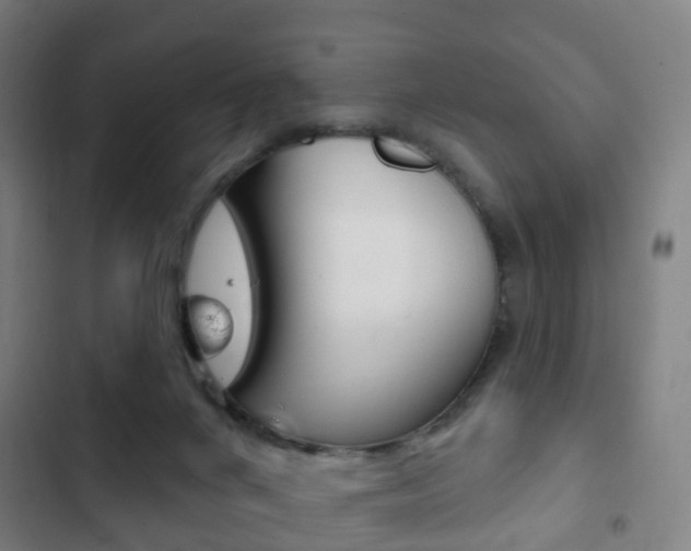 X0000103400024200809120935
