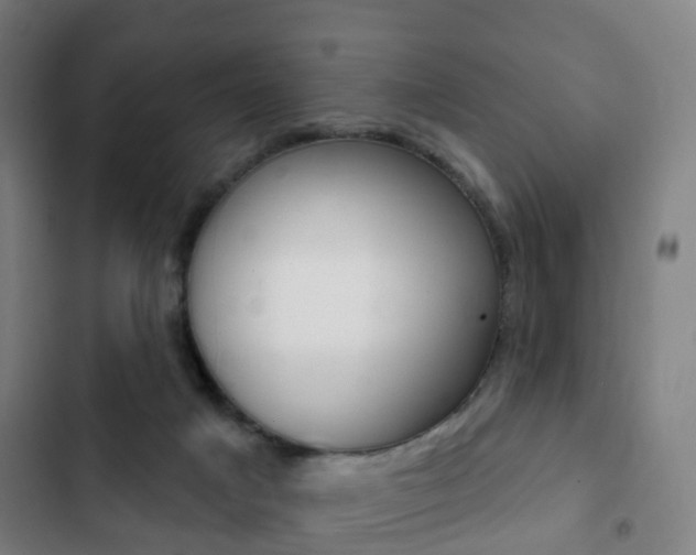 X0000103400025200809120935