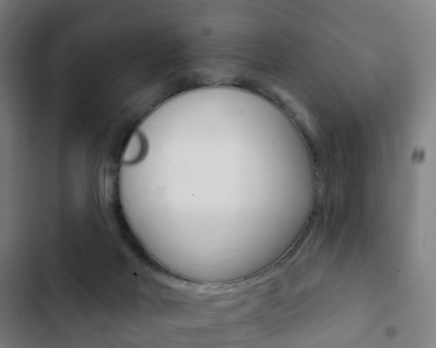 X0000103400026200809120935