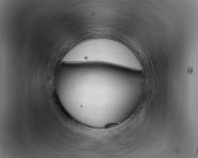 X0000103400031200809120934