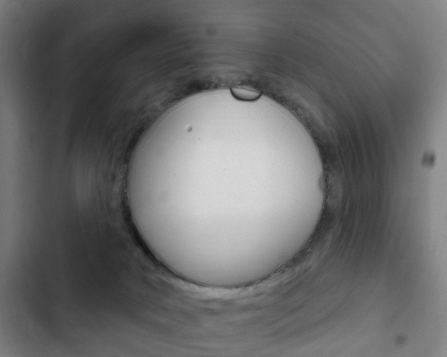 X0000103400034200809120934