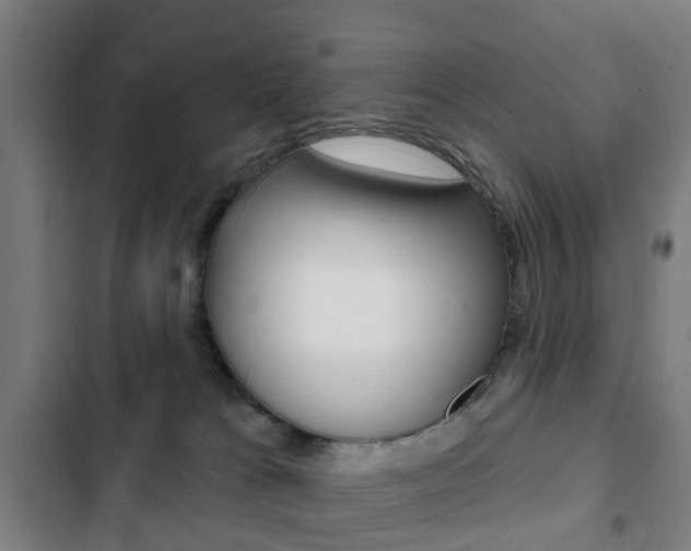 X0000103400037200809120934