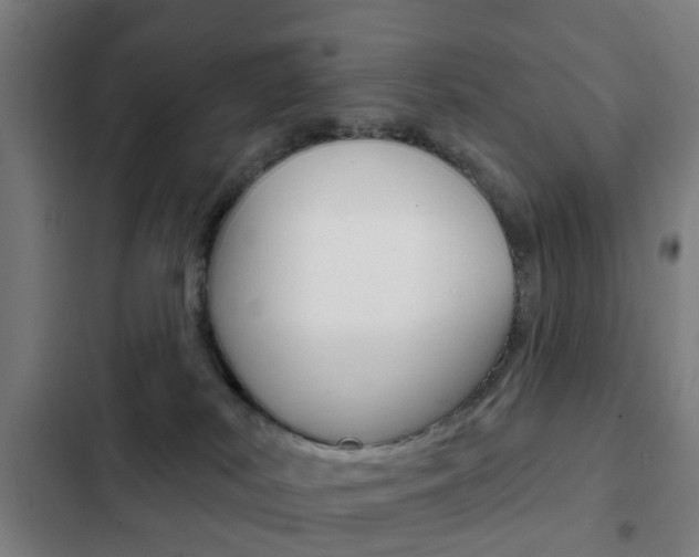 X0000103400038200809120934