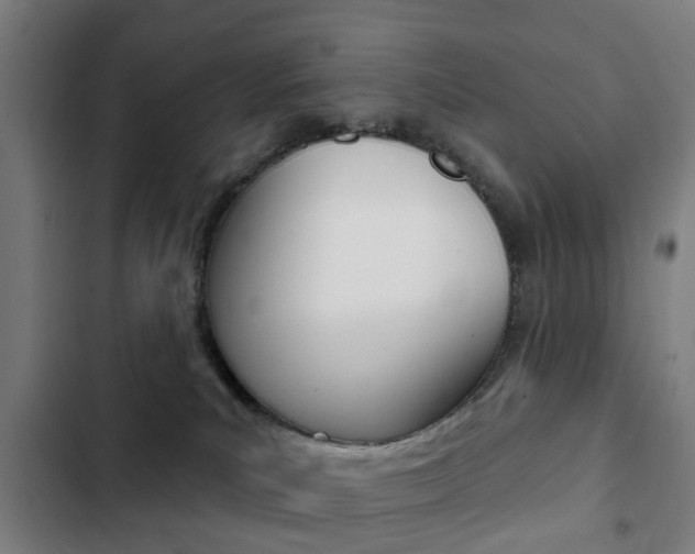 X0000103400039200809120934